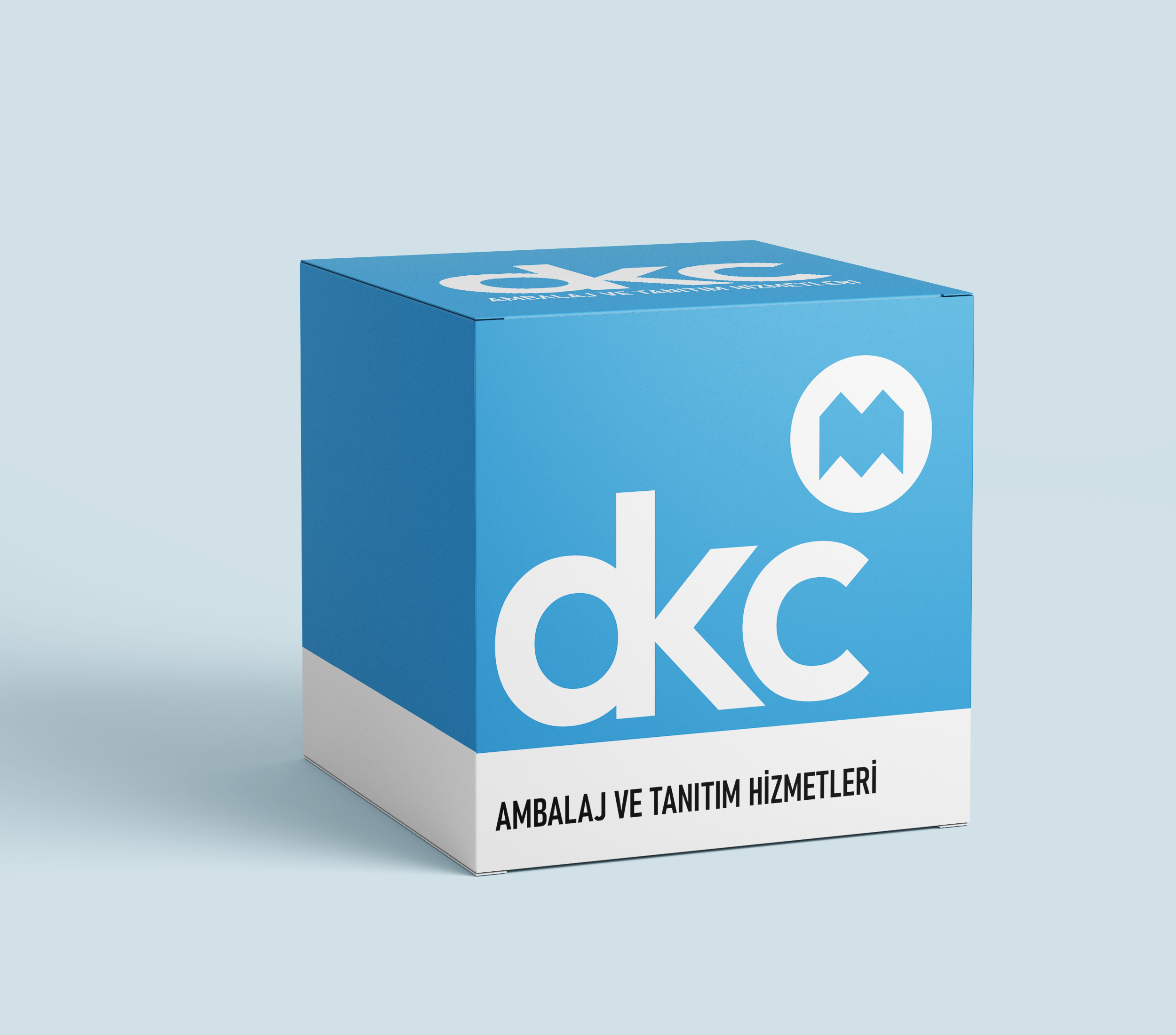 Image hover effect image